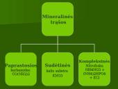 Mineralinės trašos 5 puslapis