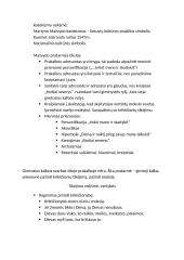 Martynas Mažvydas "Katekizmas" konspektas 2 puslapis