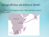 Didieji geografiniai atradimai skaidrės 5 puslapis