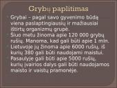 Kokie yra grybai, informacija apie jos, kur auga ir kokių sąlygų reikia 2 puslapis