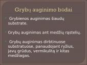 Kokie yra grybai, informacija apie jos, kur auga ir kokių sąlygų reikia 11 puslapis