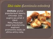 Kokie yra grybai, informacija apie jos, kur auga ir kokių sąlygų reikia 15 puslapis