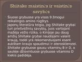 Kokie yra grybai, informacija apie jos, kur auga ir kokių sąlygų reikia 17 puslapis