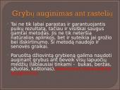 Kokie yra grybai, informacija apie jos, kur auga ir kokių sąlygų reikia 18 puslapis