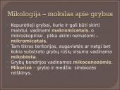 Kokie yra grybai, informacija apie jos, kur auga ir kokių sąlygų reikia 3 puslapis