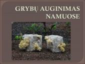 Kokie yra grybai, informacija apie jos, kur auga ir kokių sąlygų reikia 9 puslapis