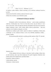 Klasikiniai grafų teorijos uždaviniai, jų sprendimas, algoritmai 4 puslapis