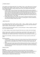 Romantizmas konspektas 2 puslapis