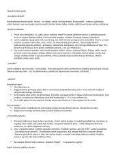 Romantizmas konspektas 3 puslapis