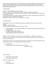 Romantizmas konspektas 4 puslapis