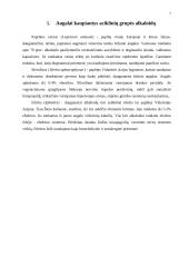Alkaloidai referatas 7 puslapis