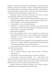 Mutacinis kintamumas 4 puslapis