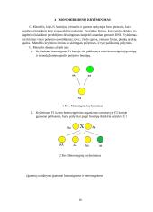 Mutacinis kintamumas 10 puslapis