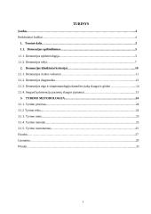 Sergančiųjų demencija slaugos realizavimas stacionare 2 puslapis