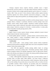 Sergančiųjų demencija slaugos realizavimas stacionare 19 puslapis