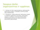 Darbuotuojų sauga ir sveikatos darbas 13 puslapis