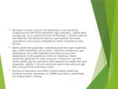 Darbuotuojų sauga ir sveikatos darbas 19 puslapis