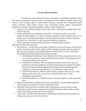AB „Vilkyškių pieninė“ rizikos įvertinimas 11 puslapis