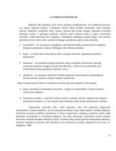 AB „Vilkyškių pieninė“ rizikos įvertinimas 13 puslapis
