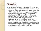 Aprašymas apie Antaną Baranauską 4 puslapis