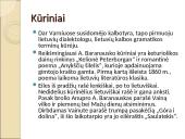 Aprašymas apie Antaną Baranauską 5 puslapis