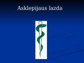 Gydytojo profesija 5 puslapis