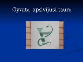 Gydytojo profesija 6 puslapis