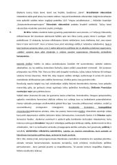 Europos politinio mentaliteto bruožai 3 puslapis