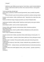 Antano Strazdo biografija 3 puslapis