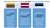 Valstybės tarnybos Baltijos šalyse palyginimas 10 puslapis