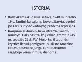Tautininkų sąjunga 7 puslapis