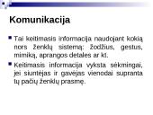 Bendravimo samprata skaidrės 13 puslapis