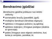 Bendravimo samprata skaidrės 17 puslapis