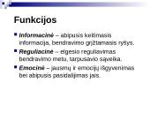 Bendravimo samprata skaidrės 4 puslapis