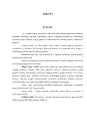 UAB "X'' trumpalaikių įsipareigojimų auditas 2 puslapis