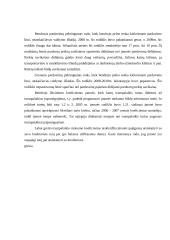 UAB "X'' trumpalaikių įsipareigojimų auditas 11 puslapis