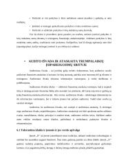 UAB "X'' trumpalaikių įsipareigojimų auditas 13 puslapis