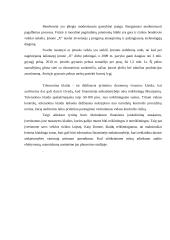 UAB "X'' trumpalaikių įsipareigojimų auditas 14 puslapis