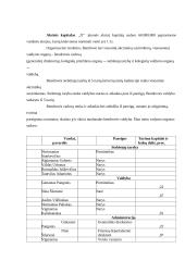 UAB "X'' trumpalaikių įsipareigojimų auditas 3 puslapis