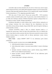 Guolio keitimas 2 puslapis