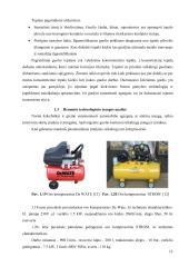 Guolio keitimas 11 puslapis