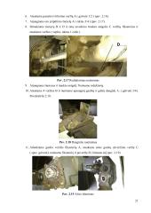 Guolio keitimas 19 puslapis