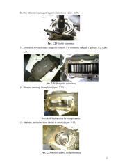 Guolio keitimas 20 puslapis