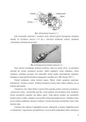 Guolio keitimas 4 puslapis