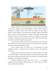 Referatas, Karsto reiškiniai  Lietuvoje 2 puslapis