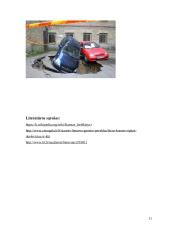 Referatas, Karsto reiškiniai  Lietuvoje 11 puslapis