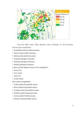 Referatas, Karsto reiškiniai  Lietuvoje 3 puslapis