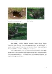 Referatas, Karsto reiškiniai  Lietuvoje 5 puslapis