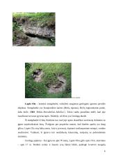 Referatas, Karsto reiškiniai  Lietuvoje 6 puslapis