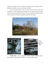 Referatas, Karsto reiškiniai  Lietuvoje 7 puslapis